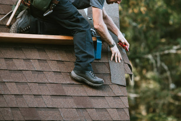 Best Roof Gutter Cleaning  in Headland, AL